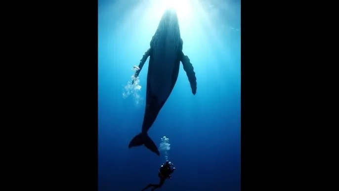 王者荣耀皮肤返场 - 深蓝星球：探索海洋深处的未知世界